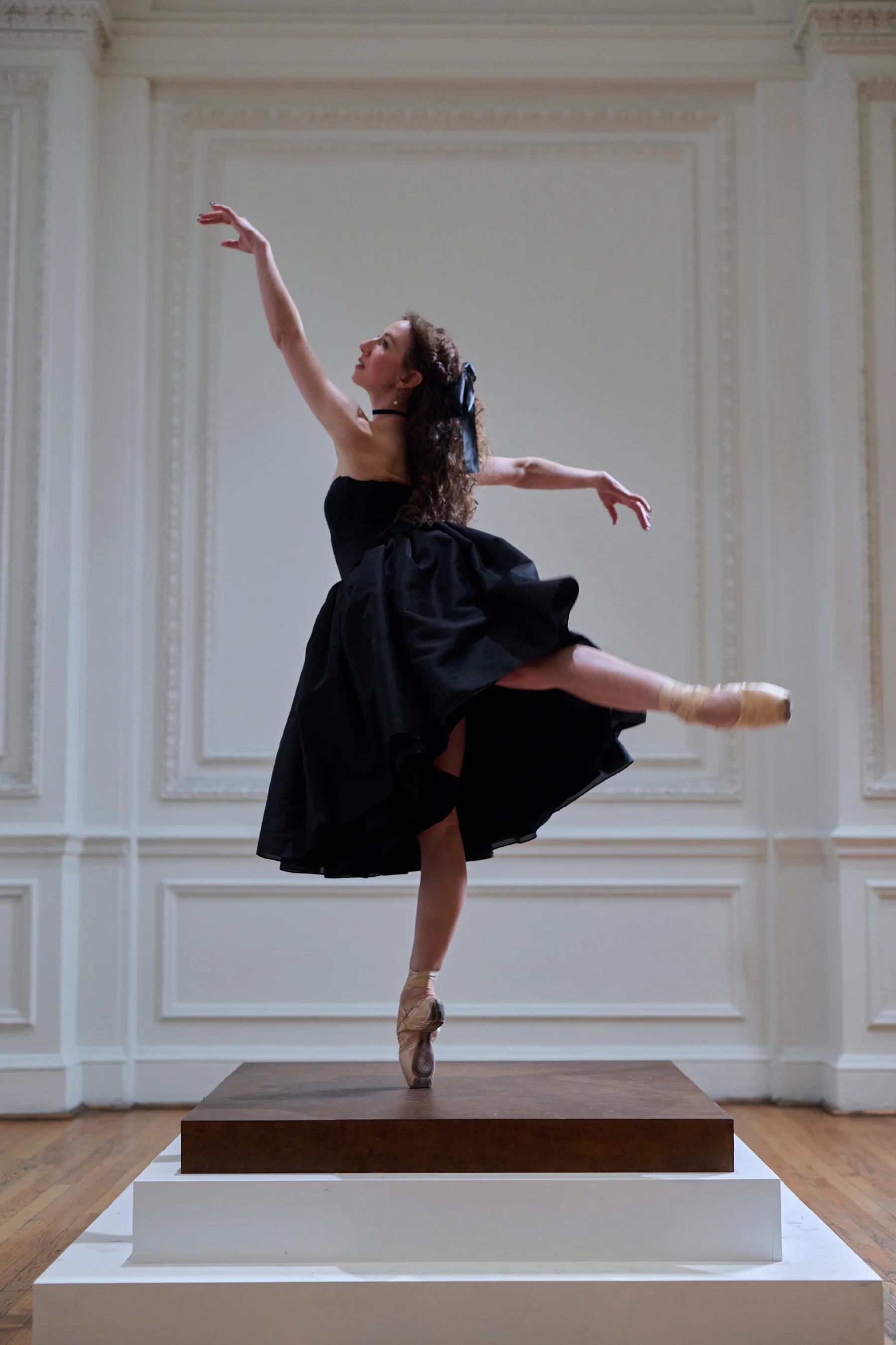 The Black Swan Degas Dress - Image 6