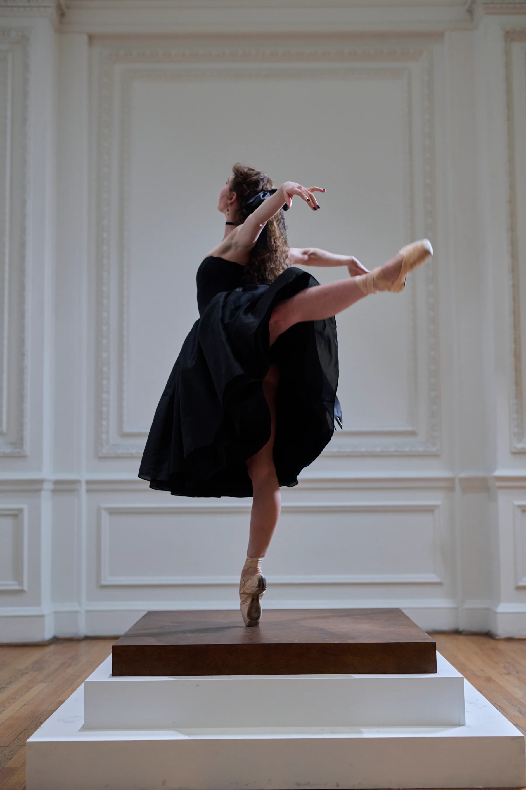 The Black Swan Degas Dress - Image 9