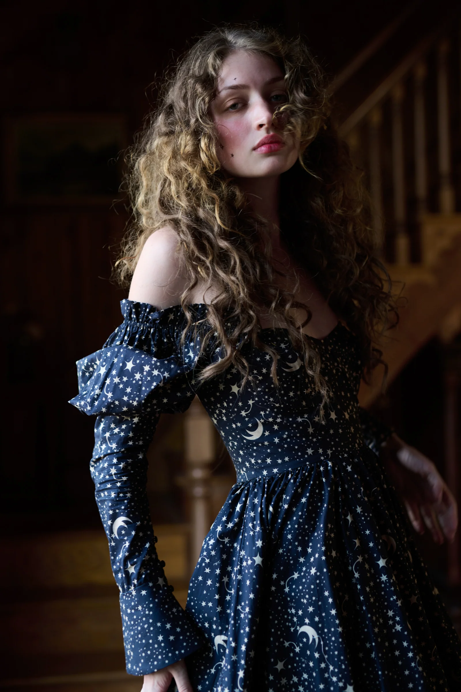 The Galileo Astronomers Gown - Image 11