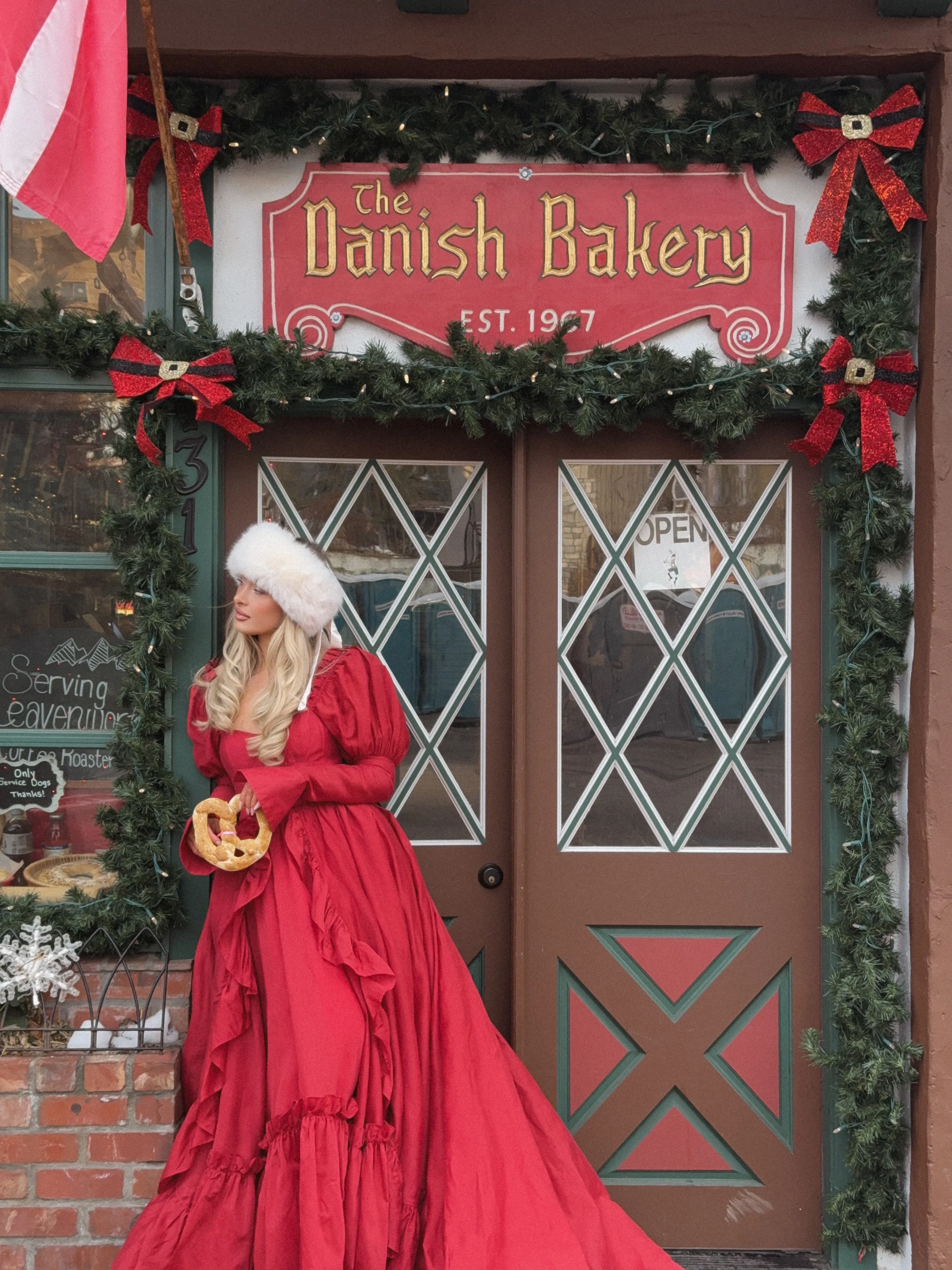 The Rouge Astronomers Gown - Image 19