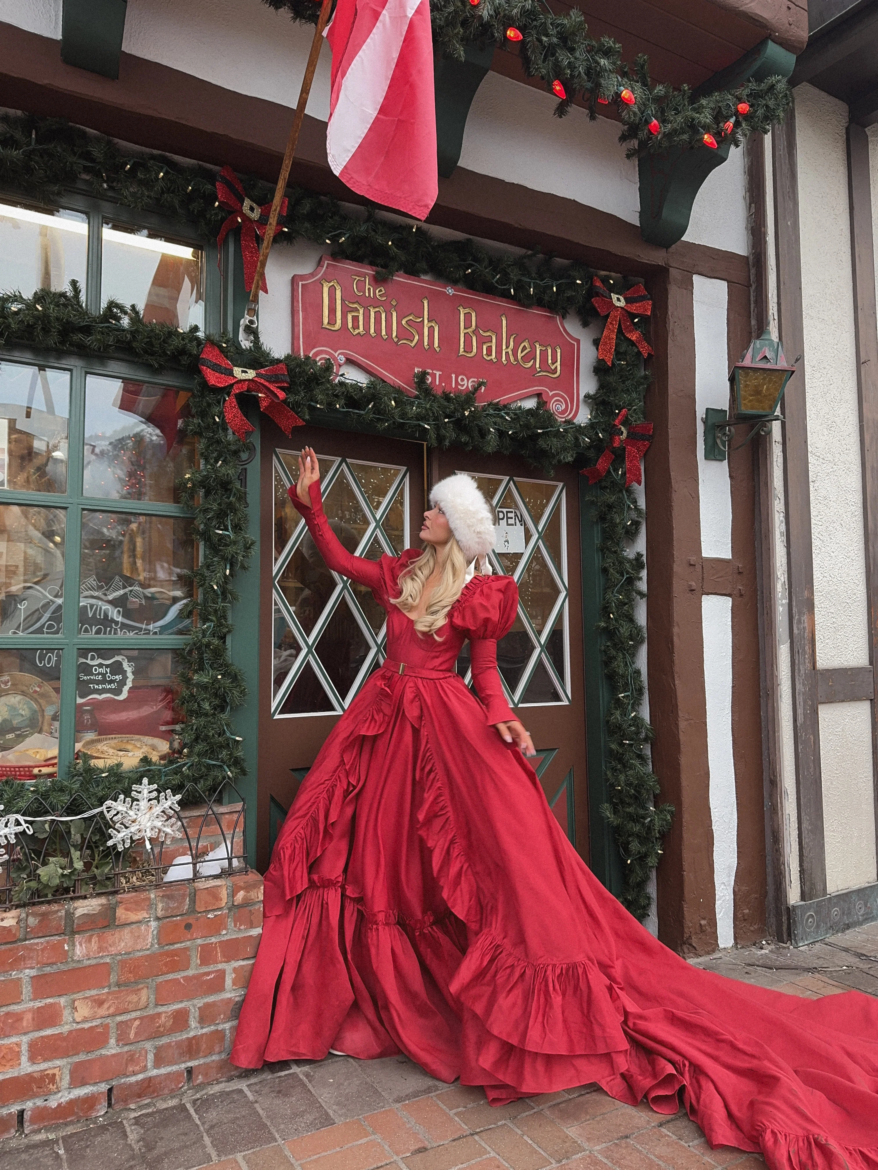 The Rouge Astronomers Gown - Image 3