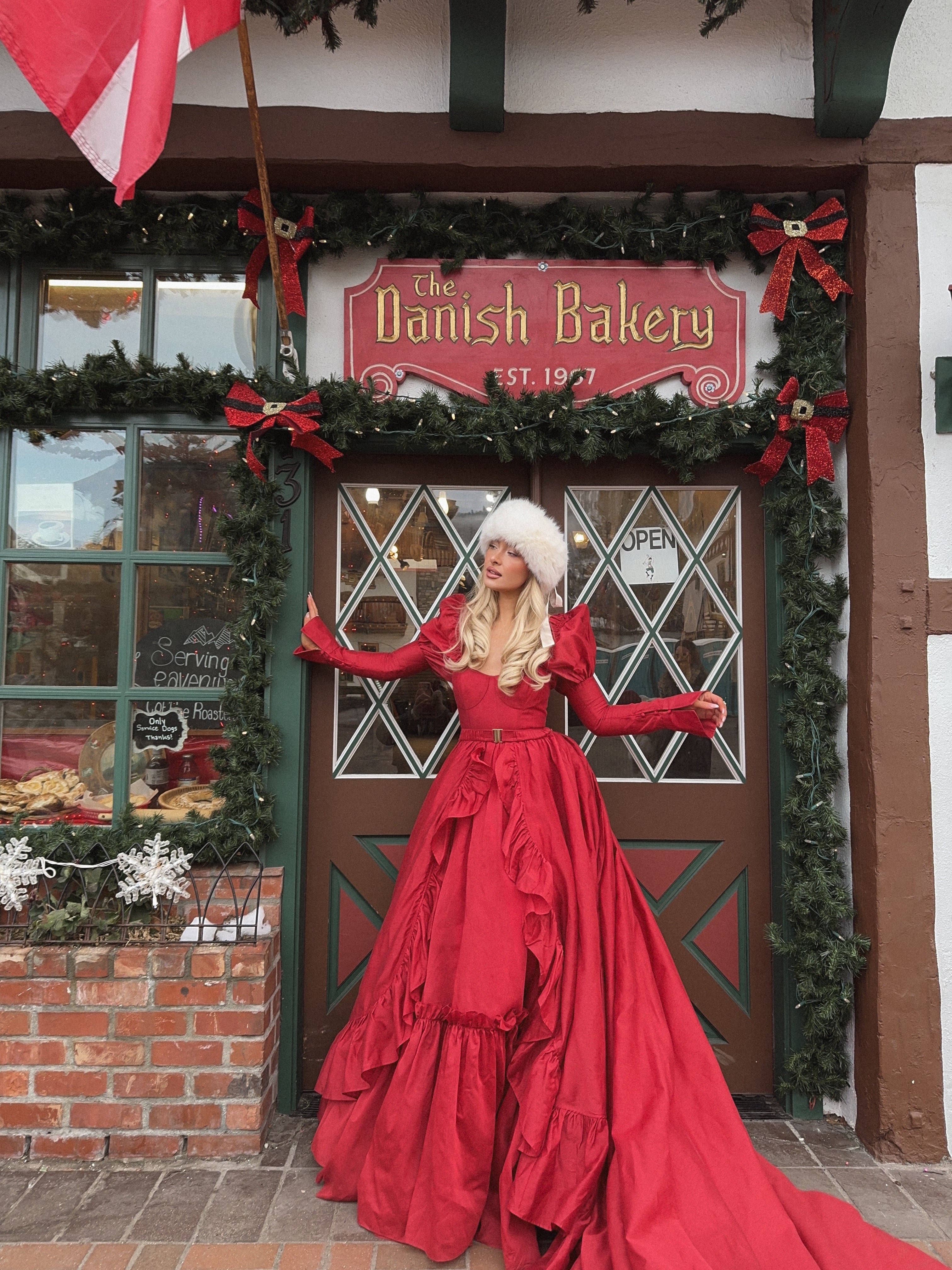 The Rouge Astronomers Gown - Image 5